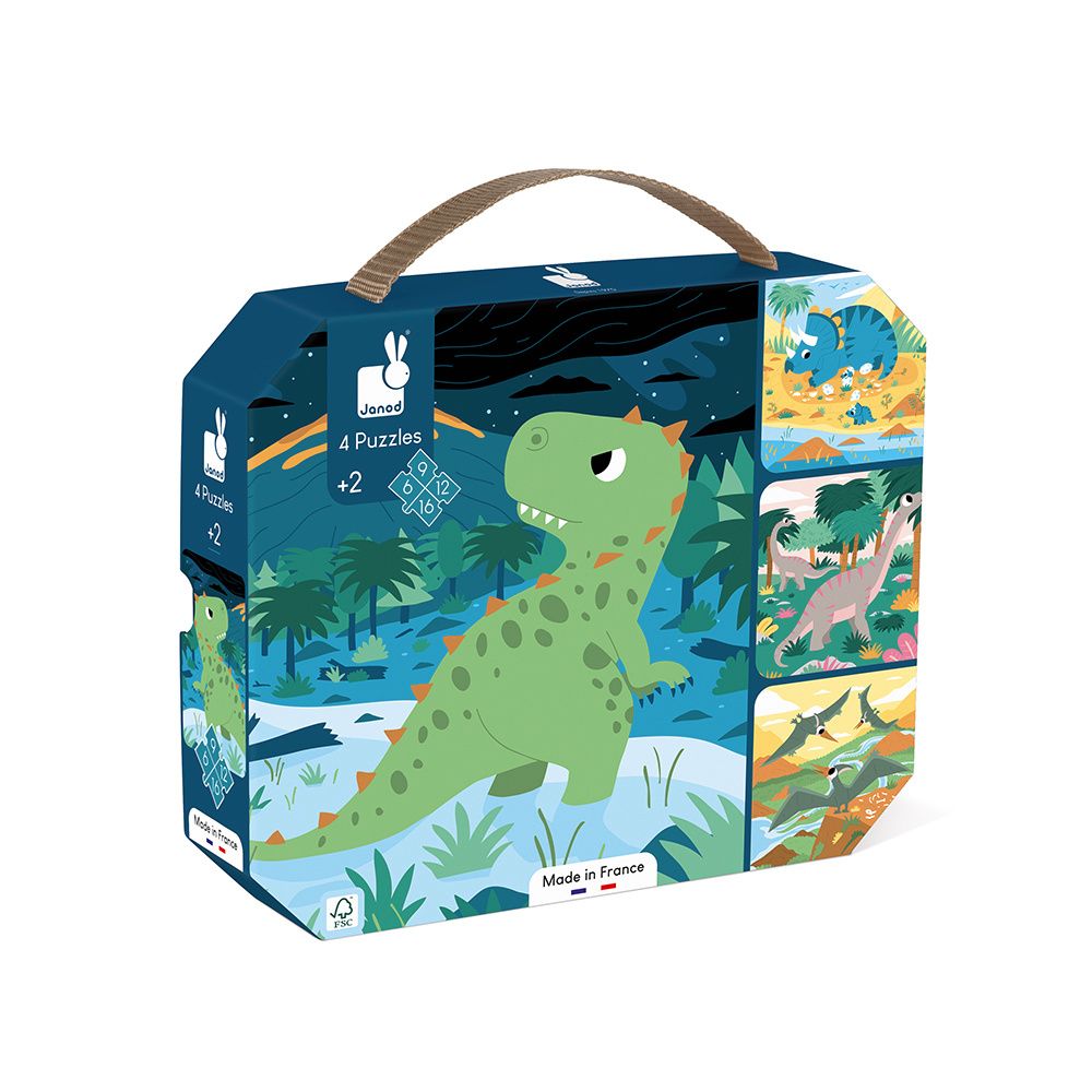 Dinosaur puzzles in case