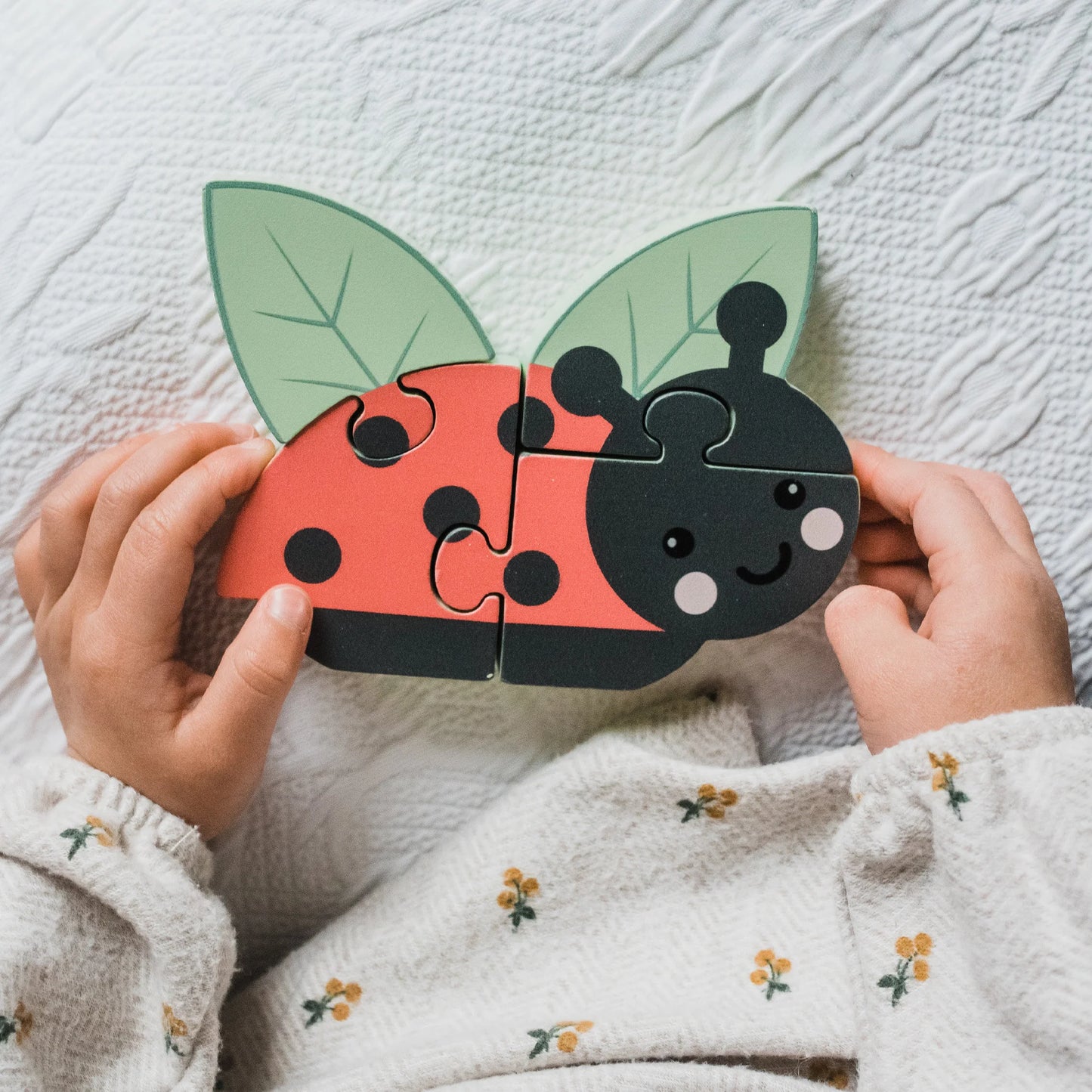 Ladybird Mini Puzzle