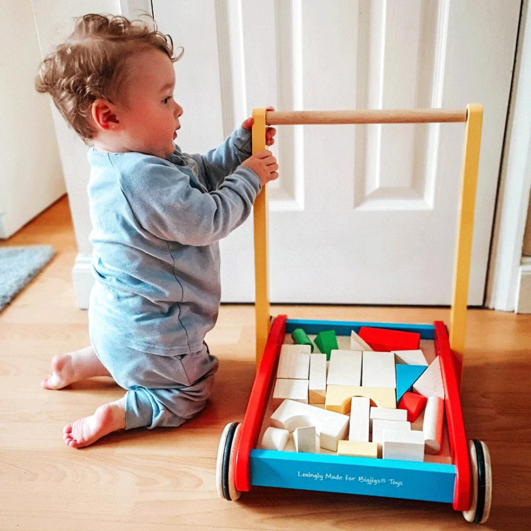 Baby Walker With Bricks Frankie s Toybox