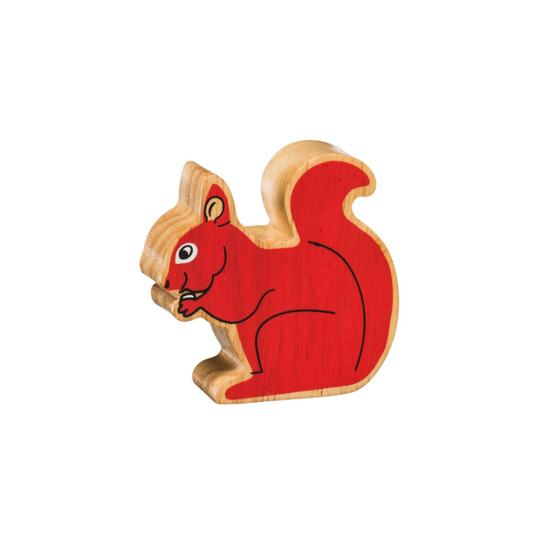 Red squirrel