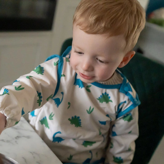 Dinosaur Feeding Bib
