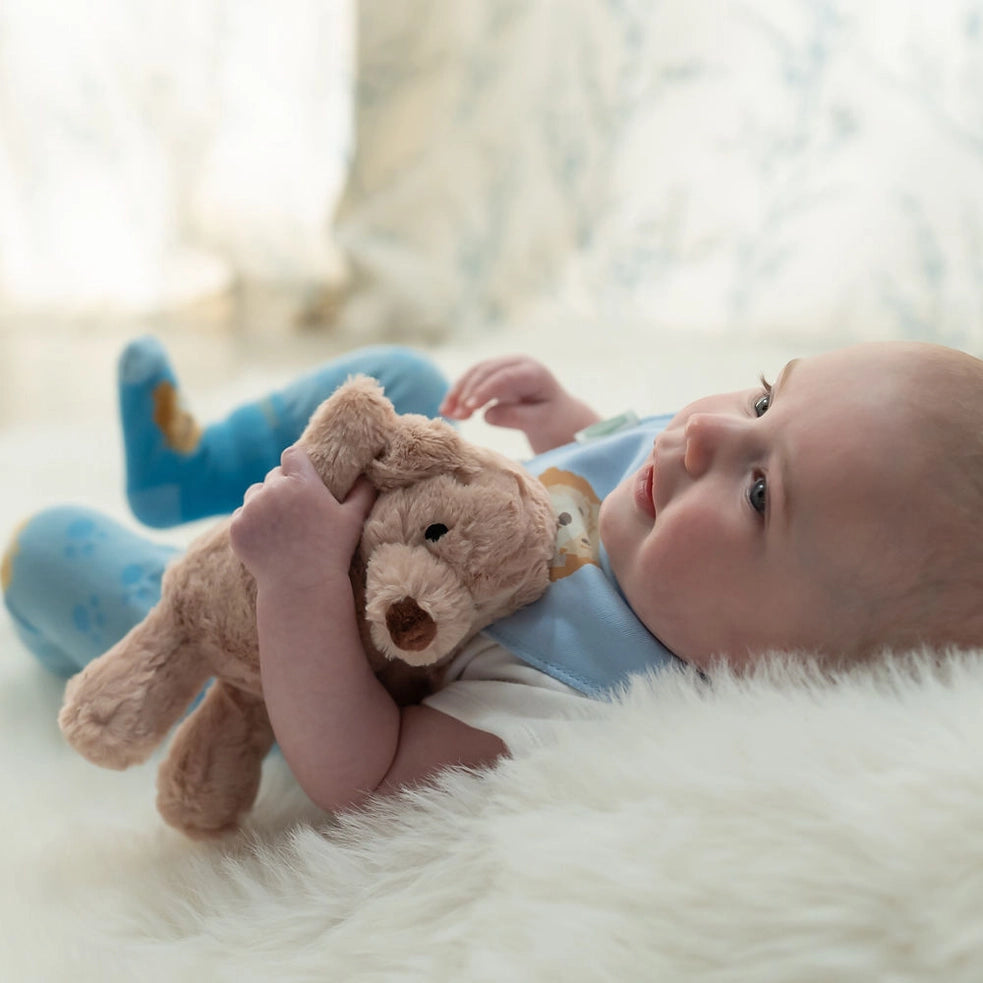 Puppy Plush Toy