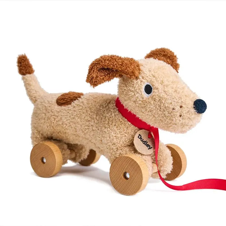 Dudley Pull Along Dog