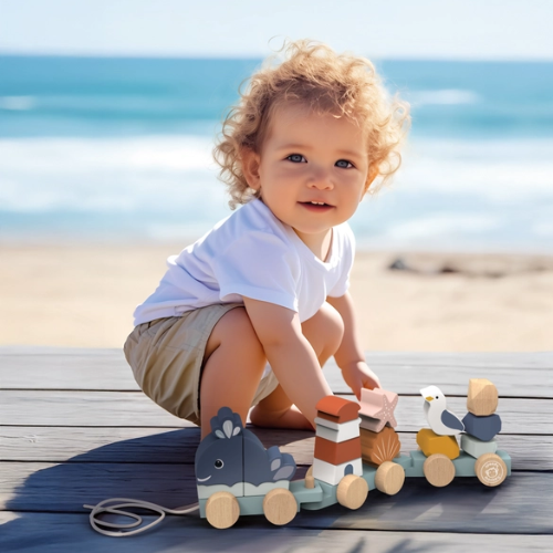 Ocean Stacking Train
