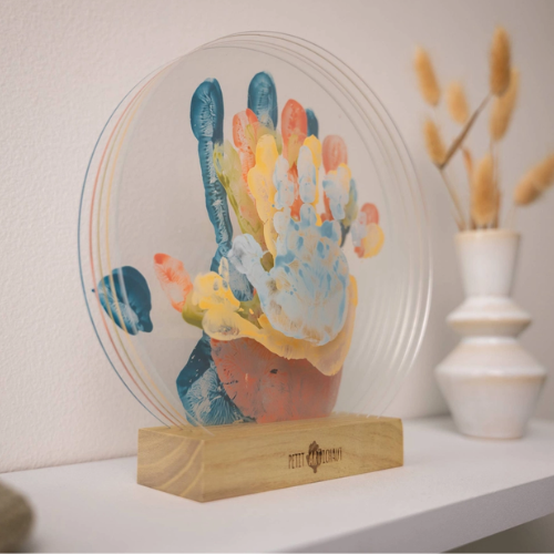 Petit Artichaut Family Colors