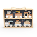 Trains Set in a Display Case