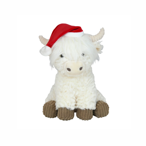 White Highland Cow