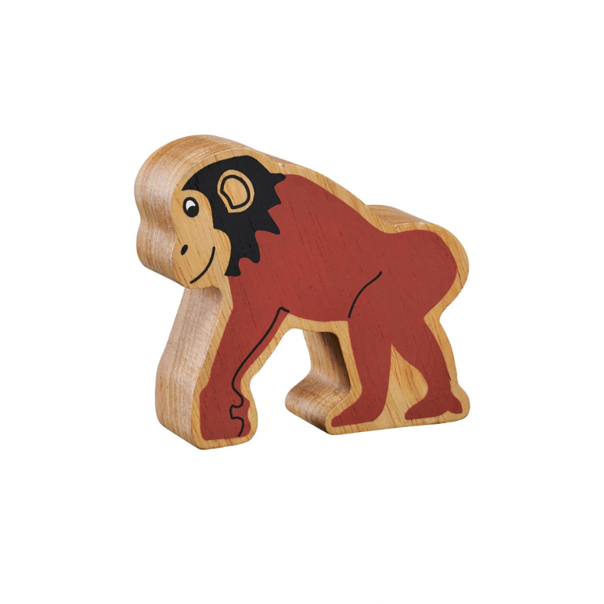 Chimpanzee