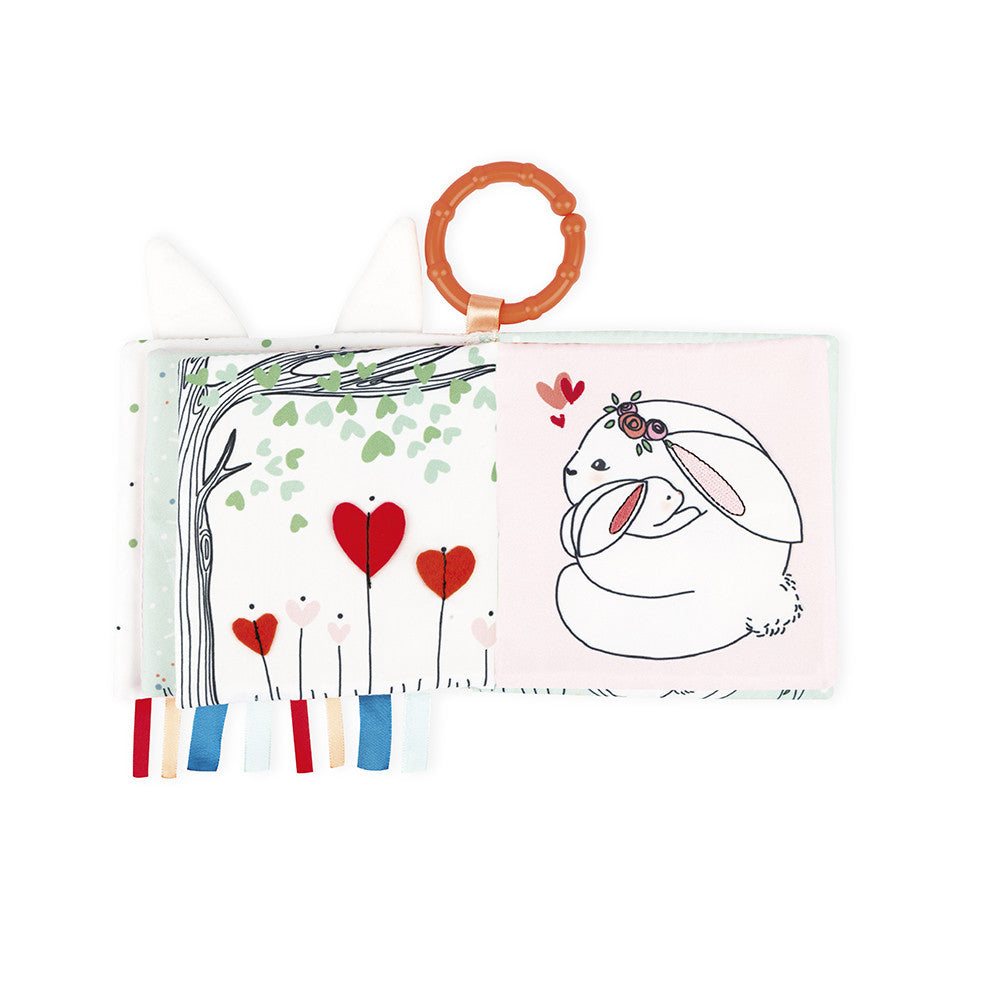 Activity book- The rabbit in love