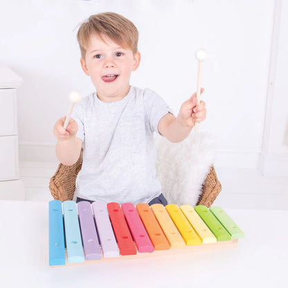 Coloured Xylophone