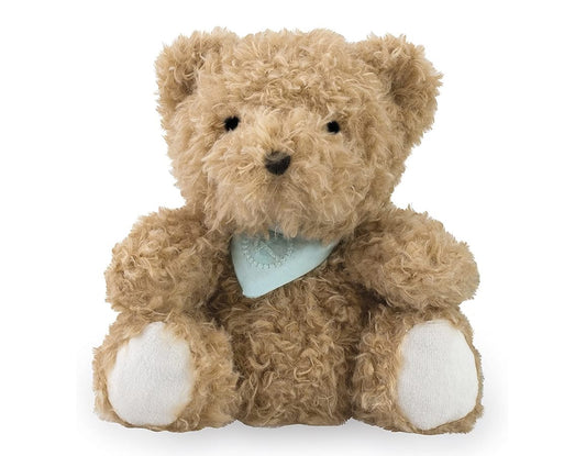 Bear Cub