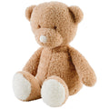 Cuddly Teddy Bear