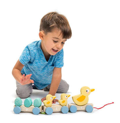 Pull Along Ducks - Pre Order