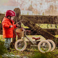 Trybike Steel Balance Trike - Sage Green