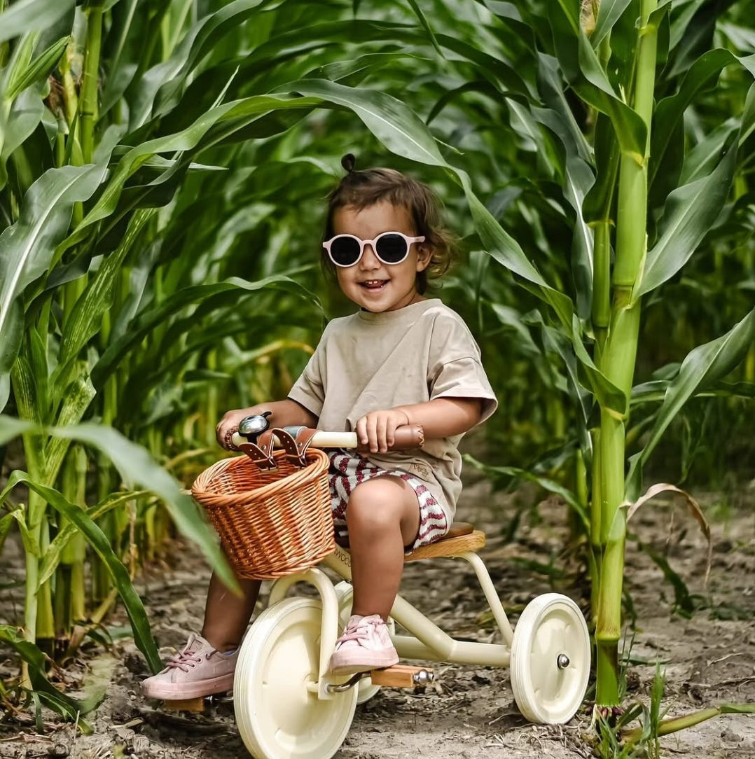 Vintage Trike