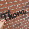 Toybox name