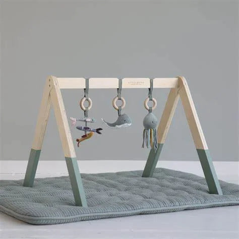 Mint Activity Gym