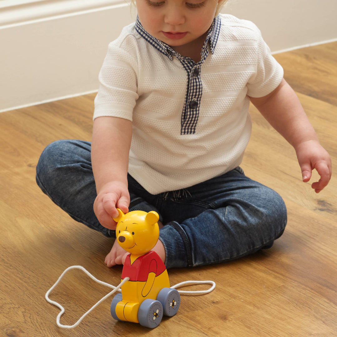 Pull along Winnie the Pooh