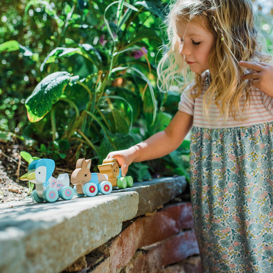 Peter Rabbit First push toys