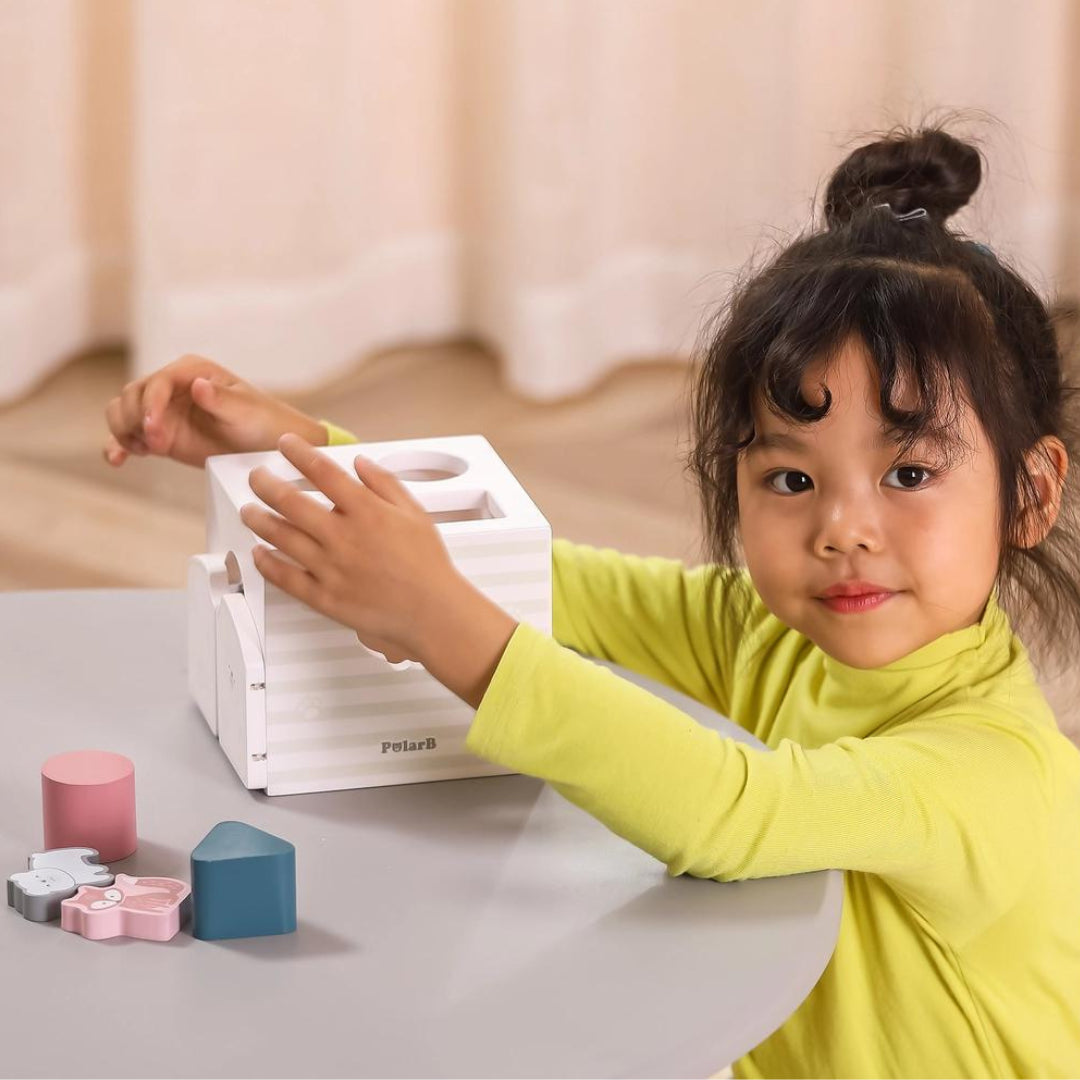 Shape Sorter with Music Blocks