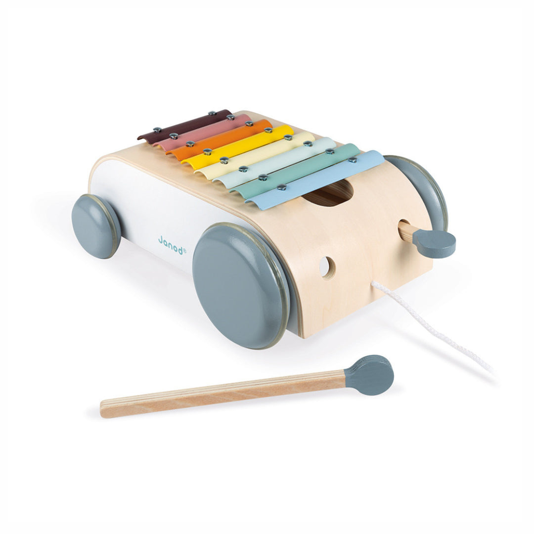 Xylo Roller