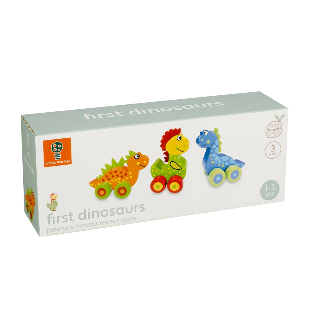 My First Dinosaurs