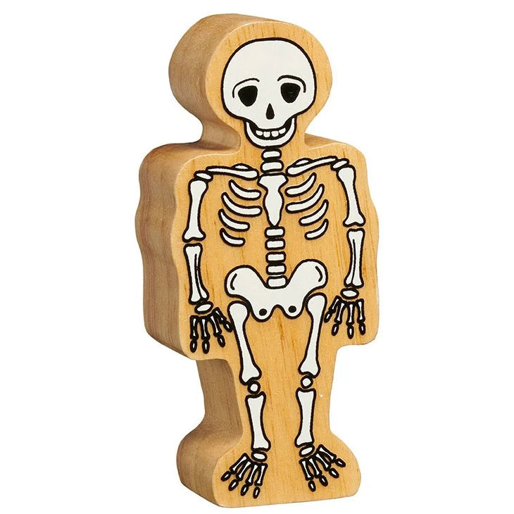 Skeleton