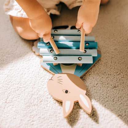 Peter rabbit xylophone