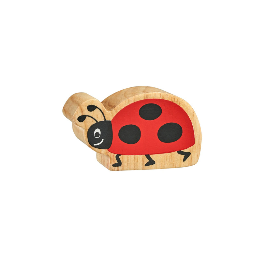 Ladybird